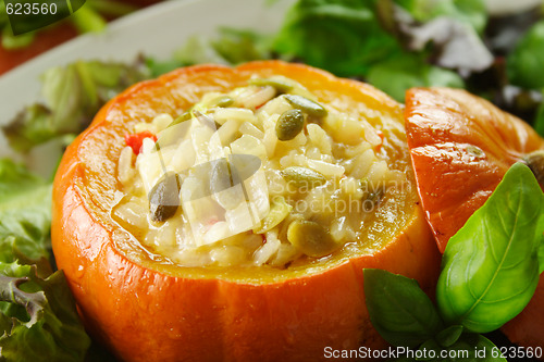 Image of Stuffed Golden Nugget Pumpkin