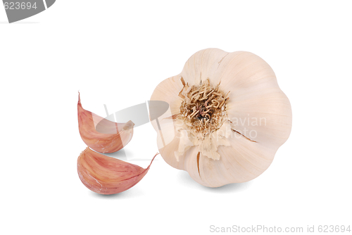 Image of Garlic on White