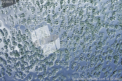 Image of Green crystals of sea salt