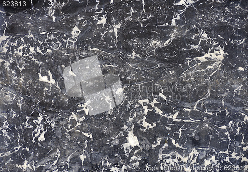 Image of Polished marble texture