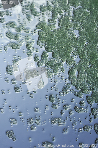 Image of Green crystals of sea salt