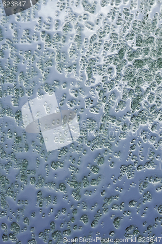 Image of Green crystals of sea salt