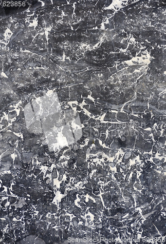 Image of Polished marble texture