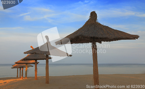 Image of Tropical beach