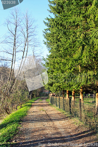 Image of Dirt road