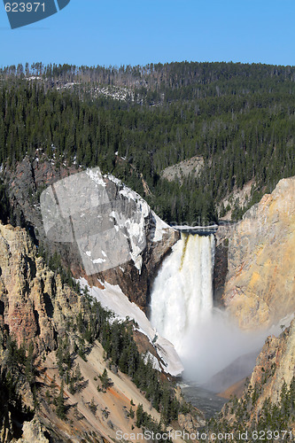 Image of Yellowstone National Park - lower falls