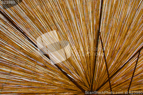 Image of Straw umbrella texture