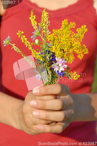 Image of Summer flowers bouquet