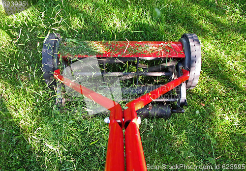 Image of Lawn mowing