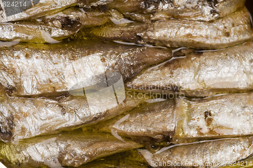 Image of norwegian sardines in can