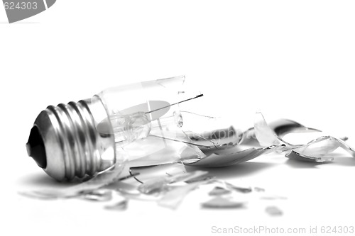 Image of Bulb