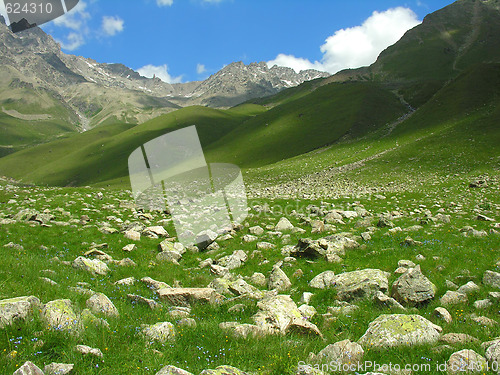Image of Scattered stones