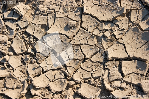 Image of Soil