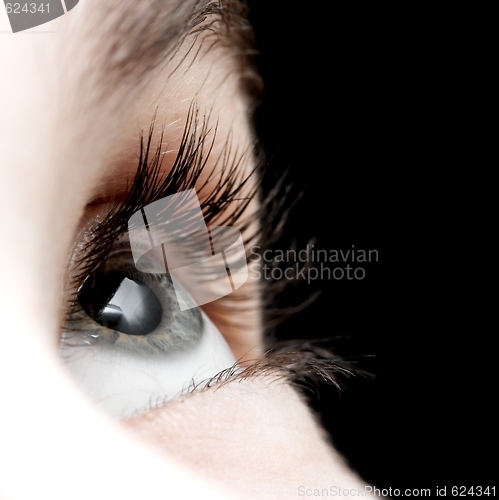 Image of Eye