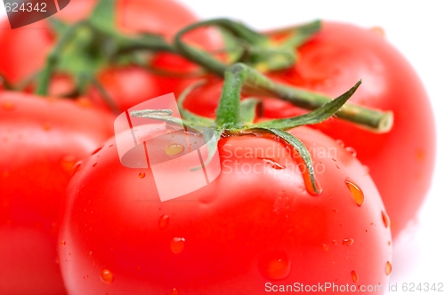 Image of Tomatos