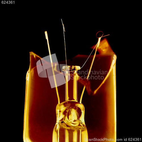 Image of Bulb