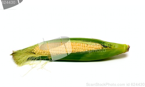 Image of Corncob isolated on white