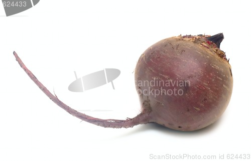 Image of Beet Vegetable isolated on white