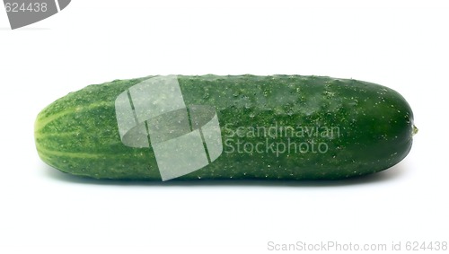 Image of Cucumber vegetable isolated on white