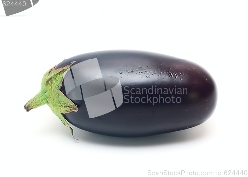 Image of Eggplant Vegetable isolated on white