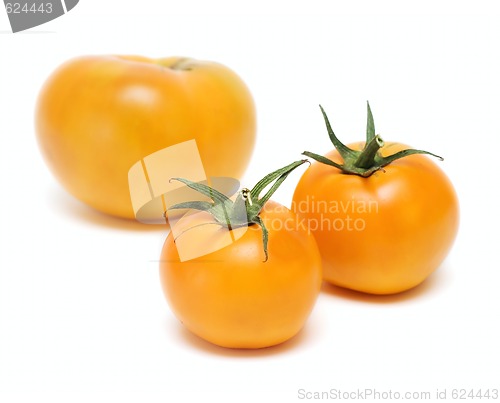 Image of Tomato Vegetables isolated on white