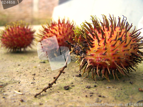 Image of Rambutan