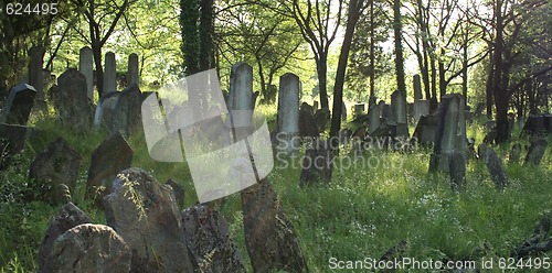 Image of old jewish burial place