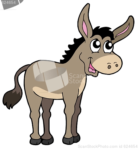 Image of Cute donkey