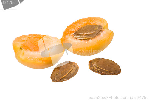 Image of Apricot