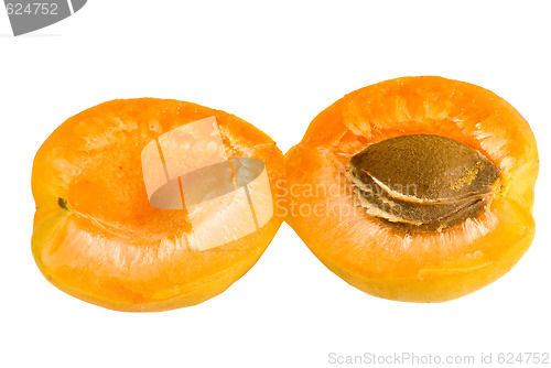 Image of Apricot