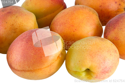Image of Apricots