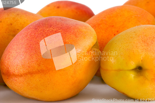 Image of Apricots
