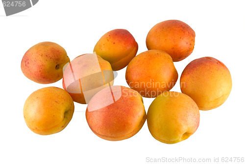 Image of Apricots