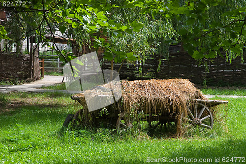 Image of The old cart