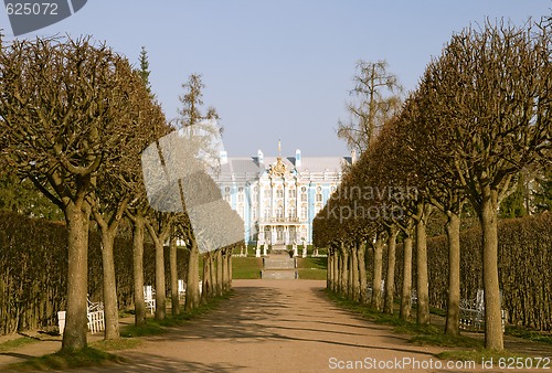 Image of View of park in Pushkin
