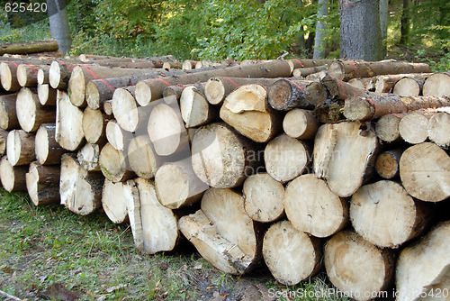 Image of pile of Wood