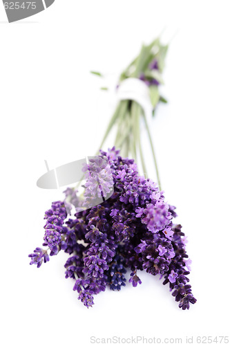 Image of lavender flowers