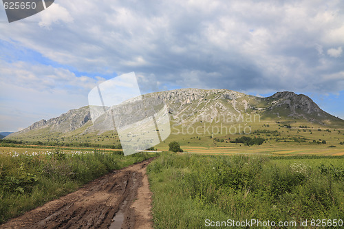 Image of Road to the peaks