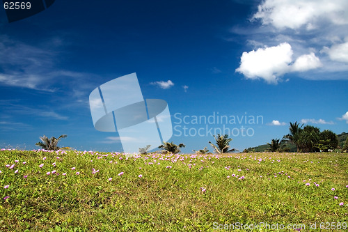 Image of Beach view