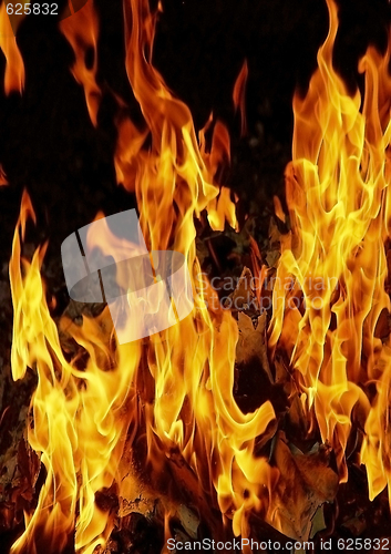 Image of fire