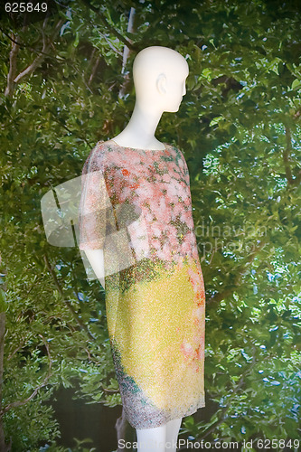 Image of Fashion Paris