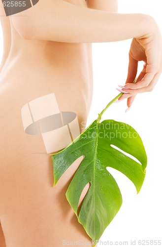 Image of female torso with green leaf over white