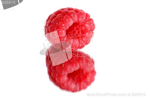 Image of Raspberry