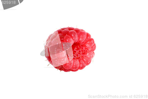 Image of Raspberry