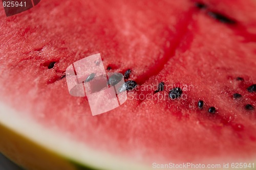 Image of Water melon detail