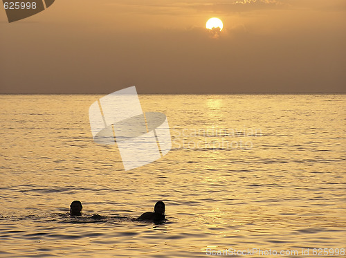 Image of Sunset Swim