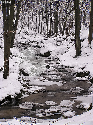 Image of Winter Forest Creek