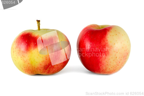 Image of Two apples