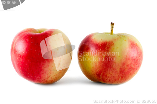 Image of Two apples