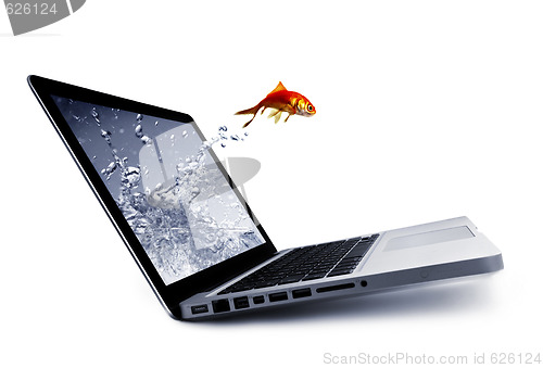 Image of Goldfish jump out of the monitor
